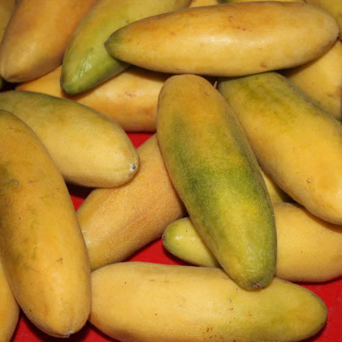 موز پَشِن فروت